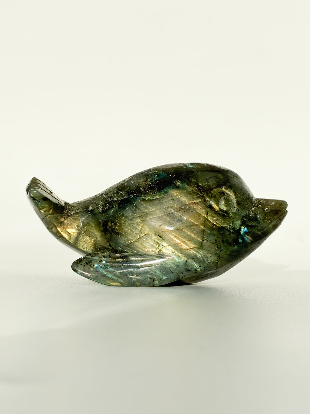 labradorite Dolphin