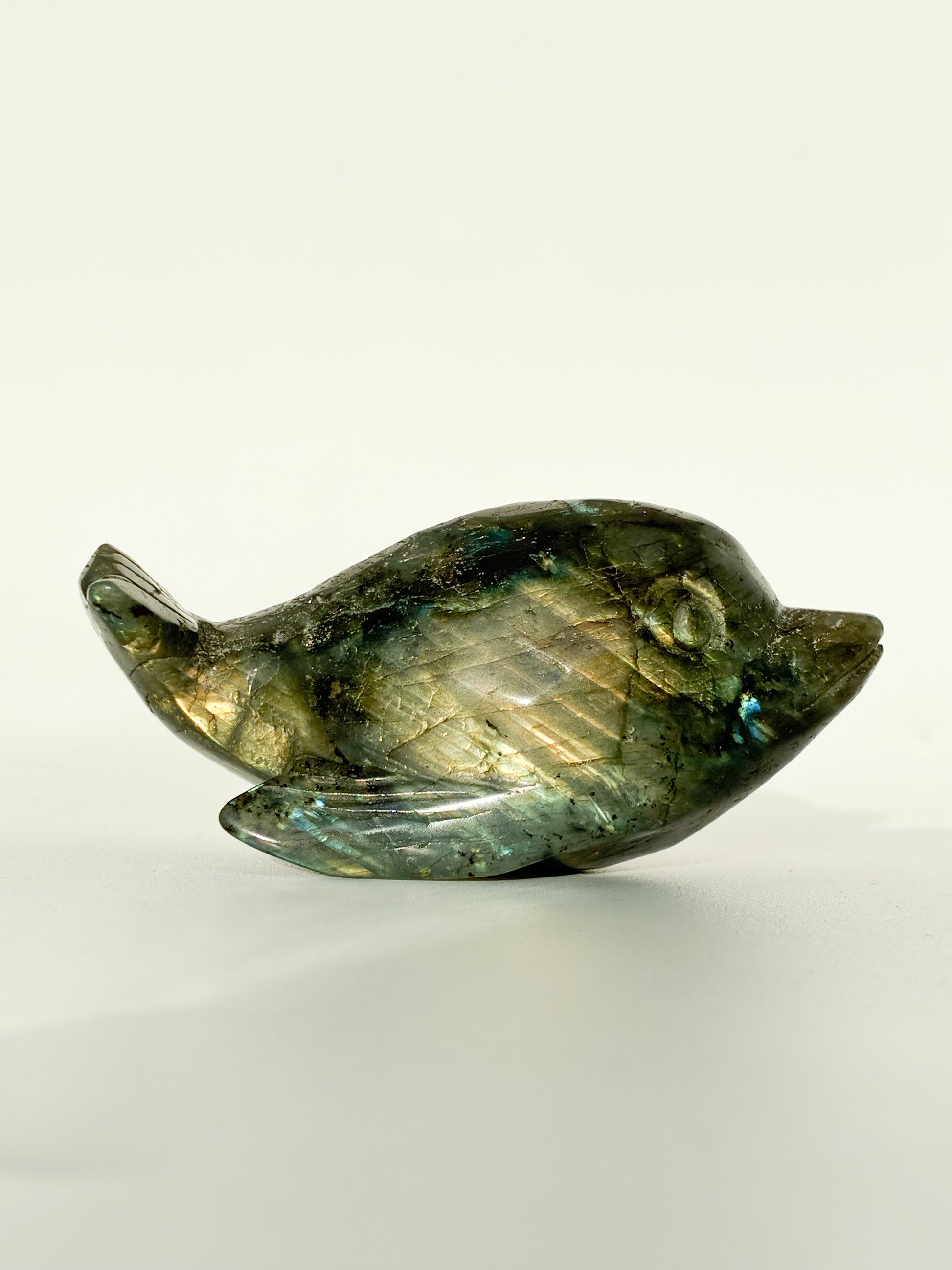 labradorite Dolphin