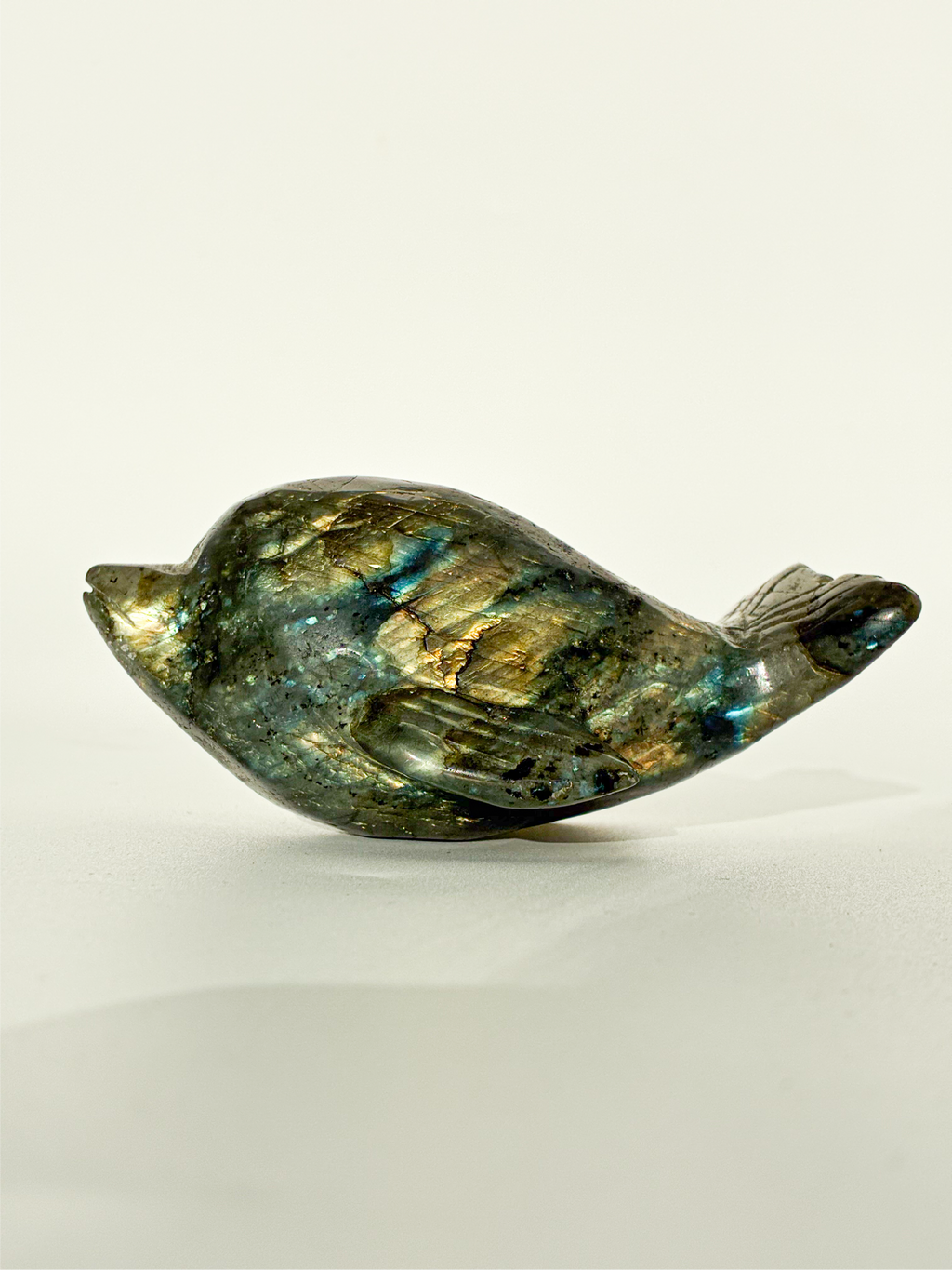 labradorite Dolphin